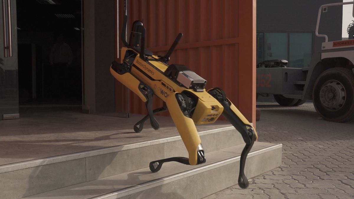 Robotics and AI: Transforming Dubai into a Smart City of the Future